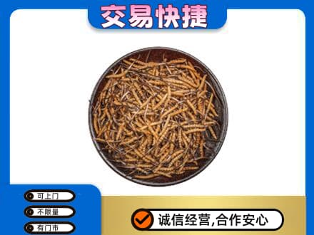 鄂尔多斯市准格尔回收散虫草